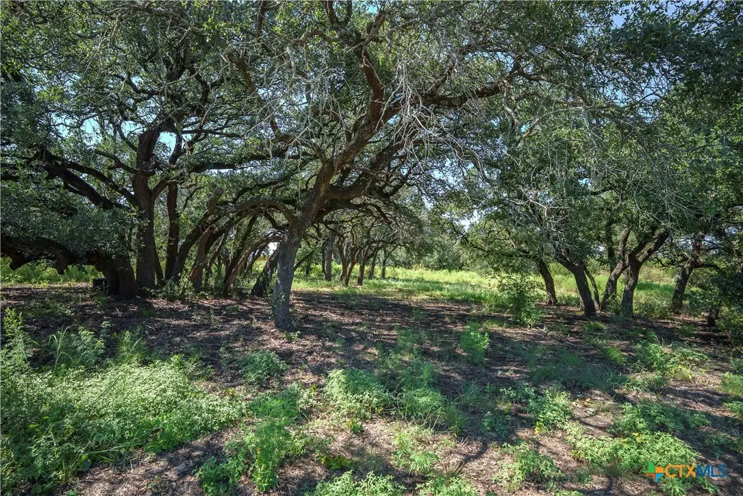 TBD Fm 2412, Gatesville, TX 76528 - Image #1