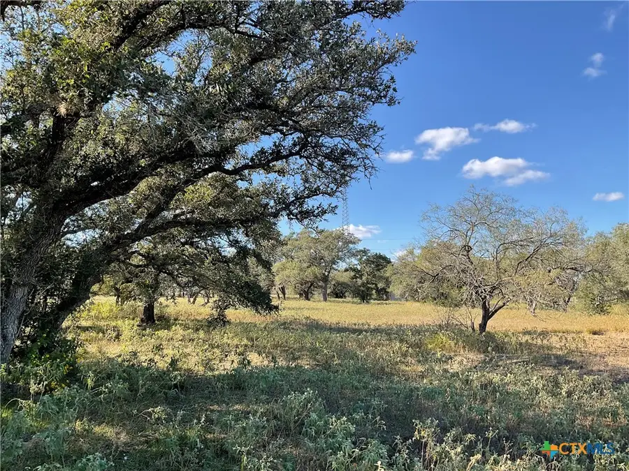 389 Hausmann Road, Cuero, TX 77954 - Image #3