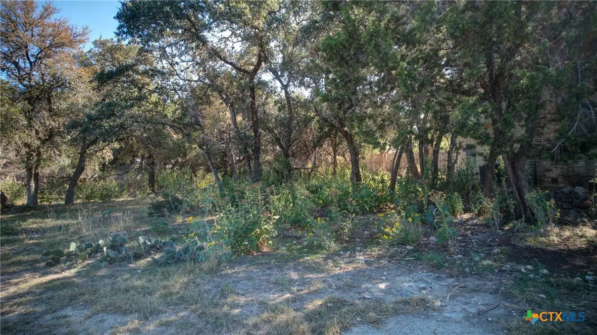 1042 Janet Drive, Canyon Lake, TX 78133 - Image #1