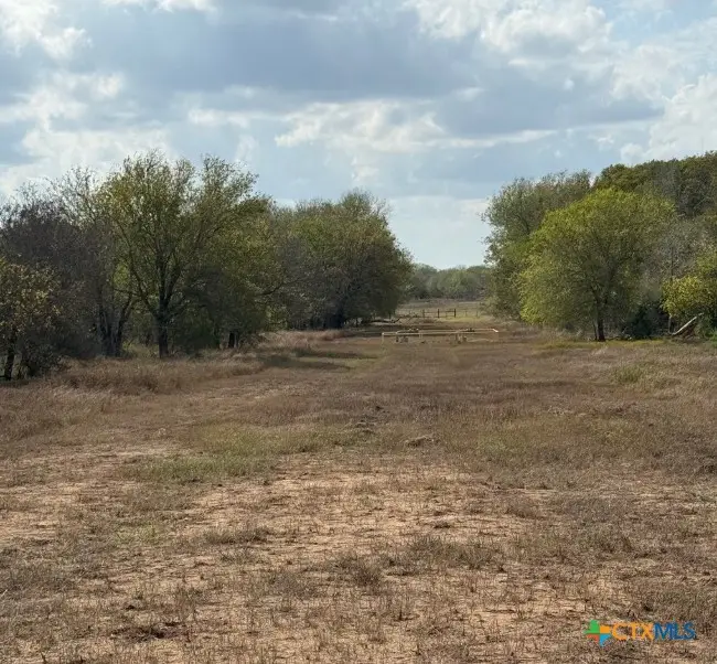 00 Simpson Ranch Road, Runge, TX 78151 - Image #3