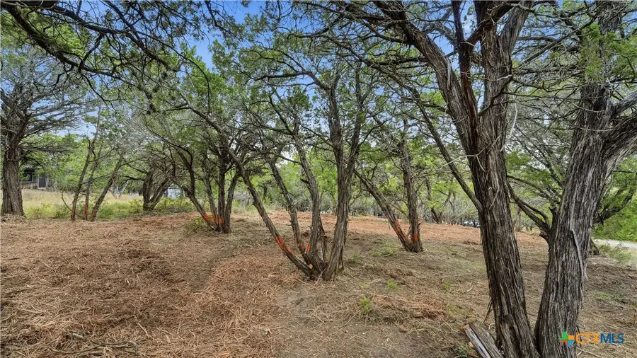 799 Hillside Loop, Canyon Lake, TX 78133 - Image #3