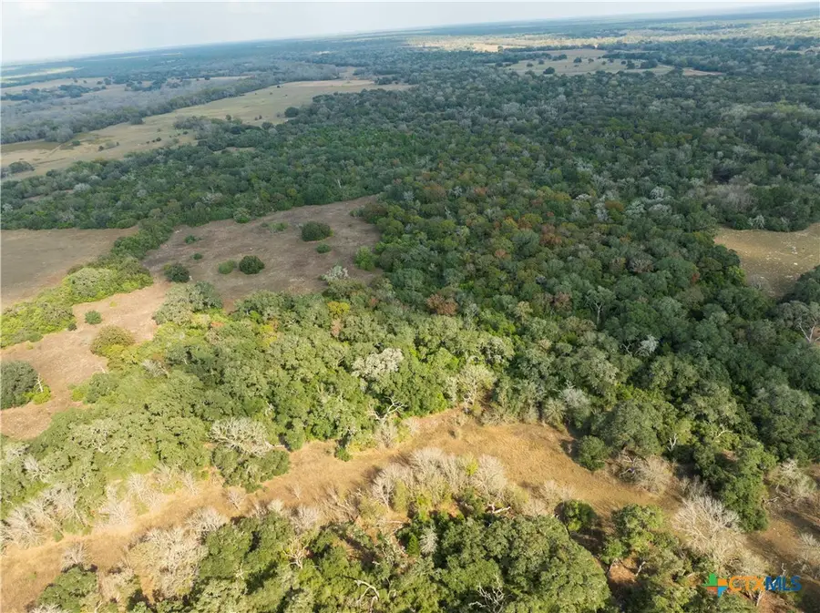 TBD County Road 12, Hallettsville, TX 77964 - Image #3