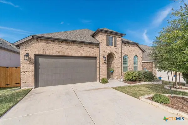 428 Trailing Lantana Lane, San Marcos, TX 78666