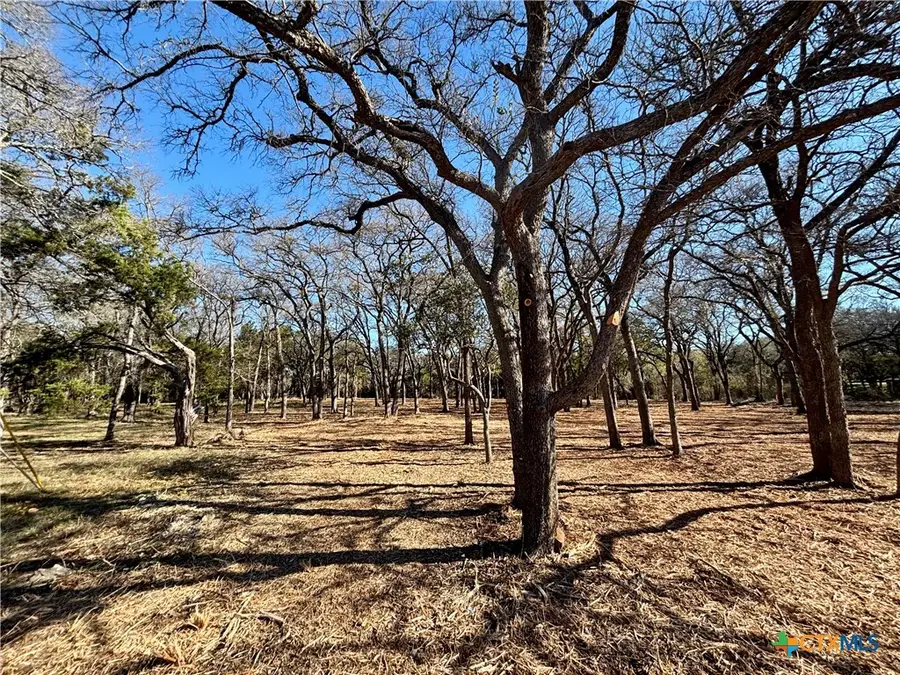 157 Cedar Mountain Road, Gatesville, TX 76528 - Image #2