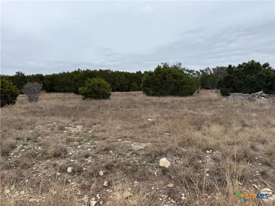 TBD Private Road 4719 Road #4719, Kempner, TX 76539 - Image #3