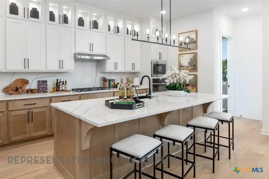 1610 Crimson Sunset Drive, Georgetown, TX 78628 - Image #2