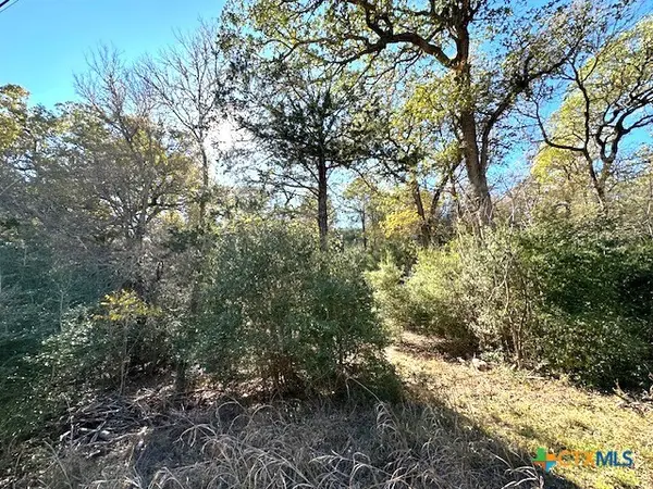 506 Tahitian Drive, Bastrop, TX 78602