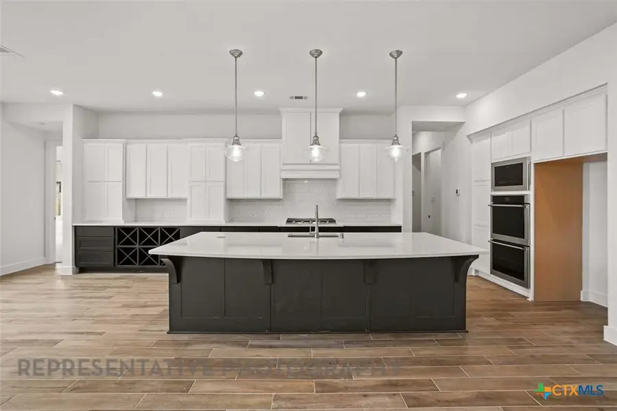 129 Ribera Drive, Liberty Hill, TX 78642 - Image #3