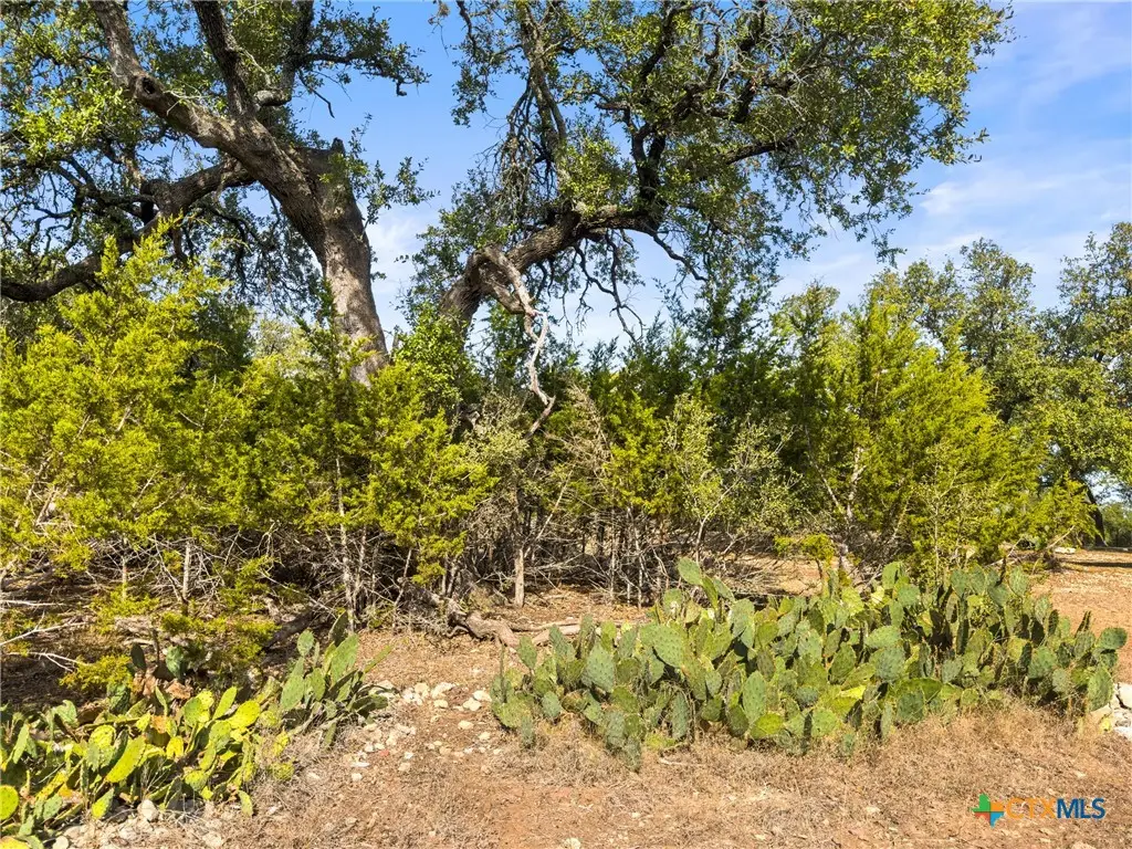 1426 Ledgebrook, Spring Branch, TX 78070 - Image #1