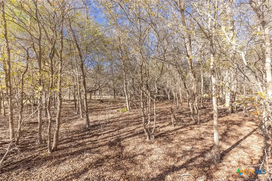 TBD N Landmart, Smiley, TX 78159 - Image #2