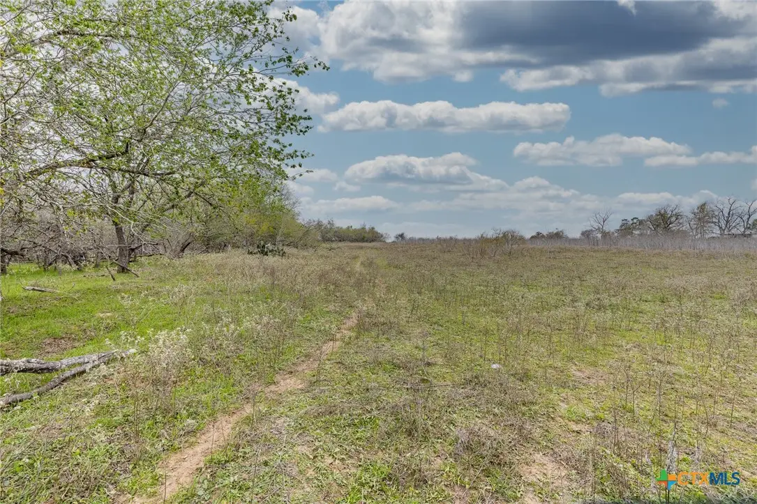 TBD County Road 157, Nixon, TX 78140 - Image #1