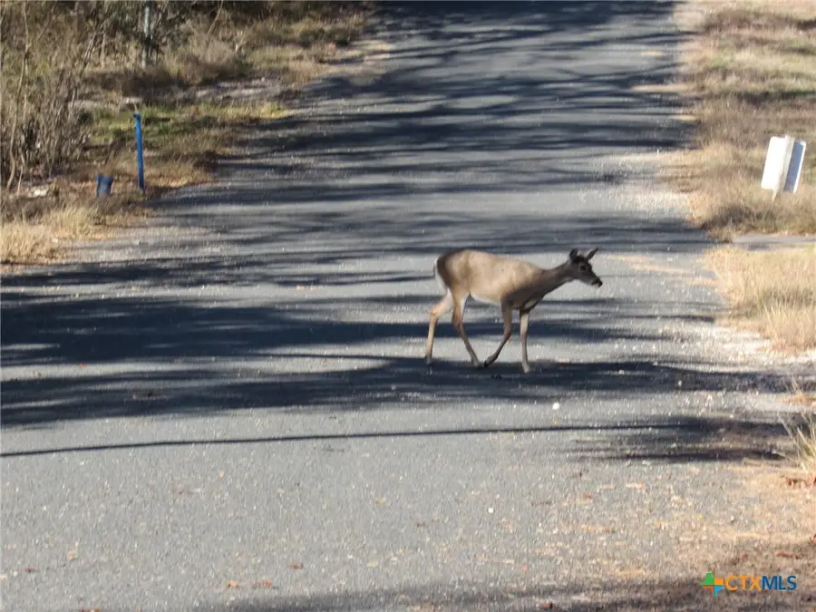 4232 Westview Drive, Belton, TX 76513 - #2