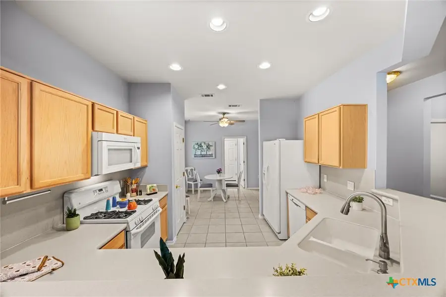 303 Bonham Loop, Georgetown, TX 78633 - Image #3