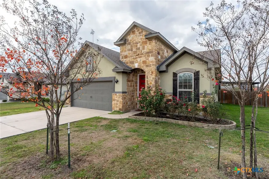 19300 Elk Horn Drive, Pflugerville, TX 78660 - Image #2