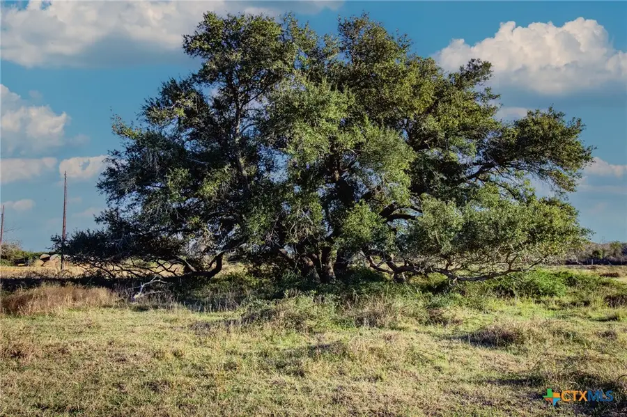 TBD Co Rd 443 & Co Rd 446, Ganado, TX 77962 - Image #2