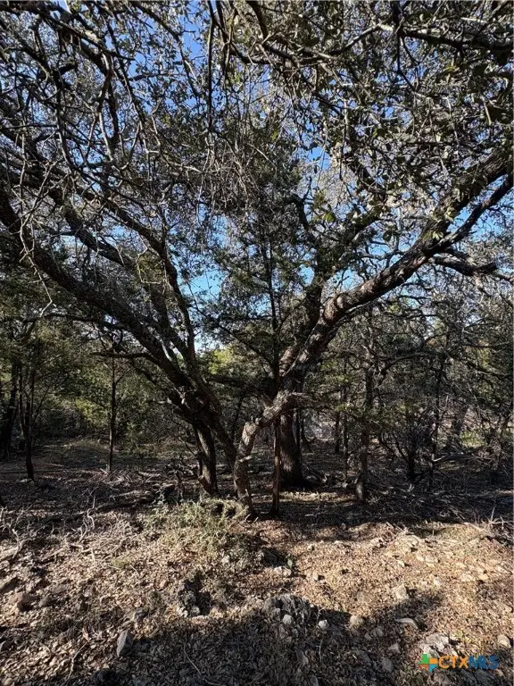 0 Lakeview Drive, Burnet, TX 78611 - Image #2