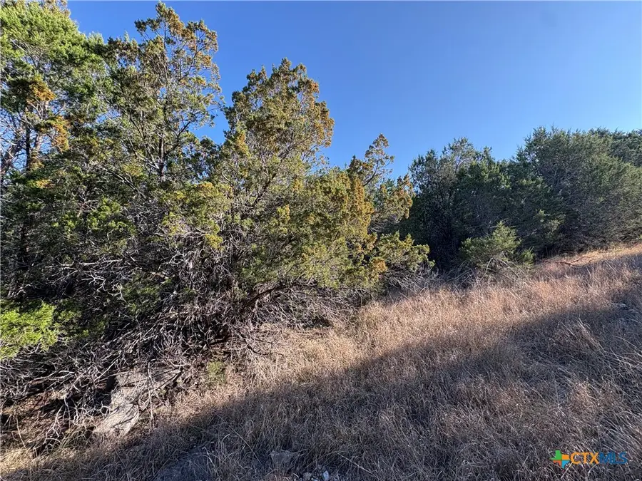 0 Lakeview Drive, Burnet, TX 78611 - Image #3