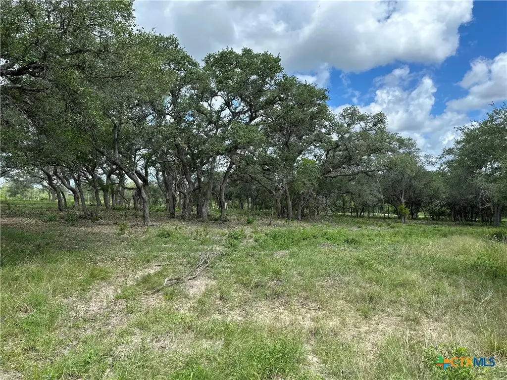 1776 Fm 1351, Goliad, TX 77963 - Image #1
