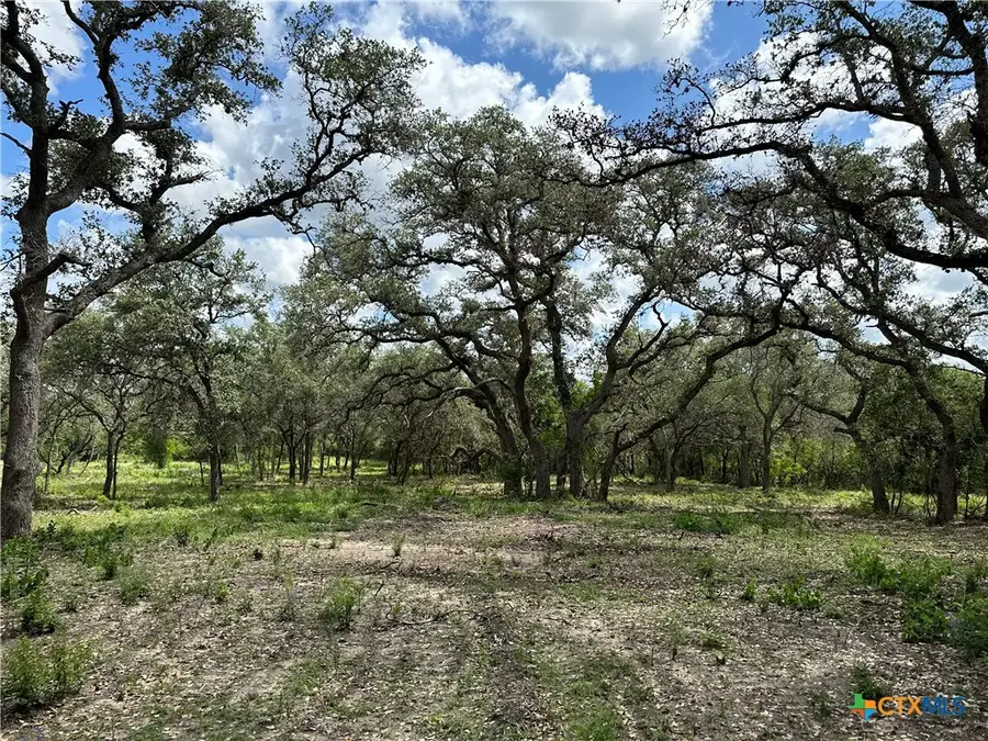 1776 Fm 1351, Goliad, TX 77963 - Image #3