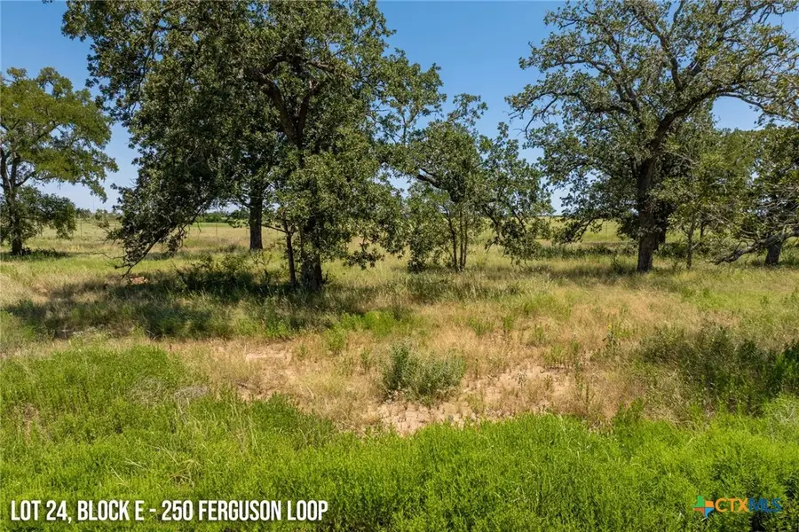 250 Ferguson Loop, Dale, TX 78616 - Image #2