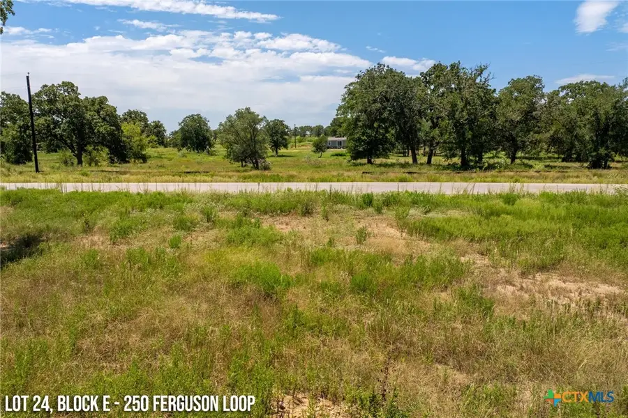 250 Ferguson Loop, Dale, TX 78616 - Image #3