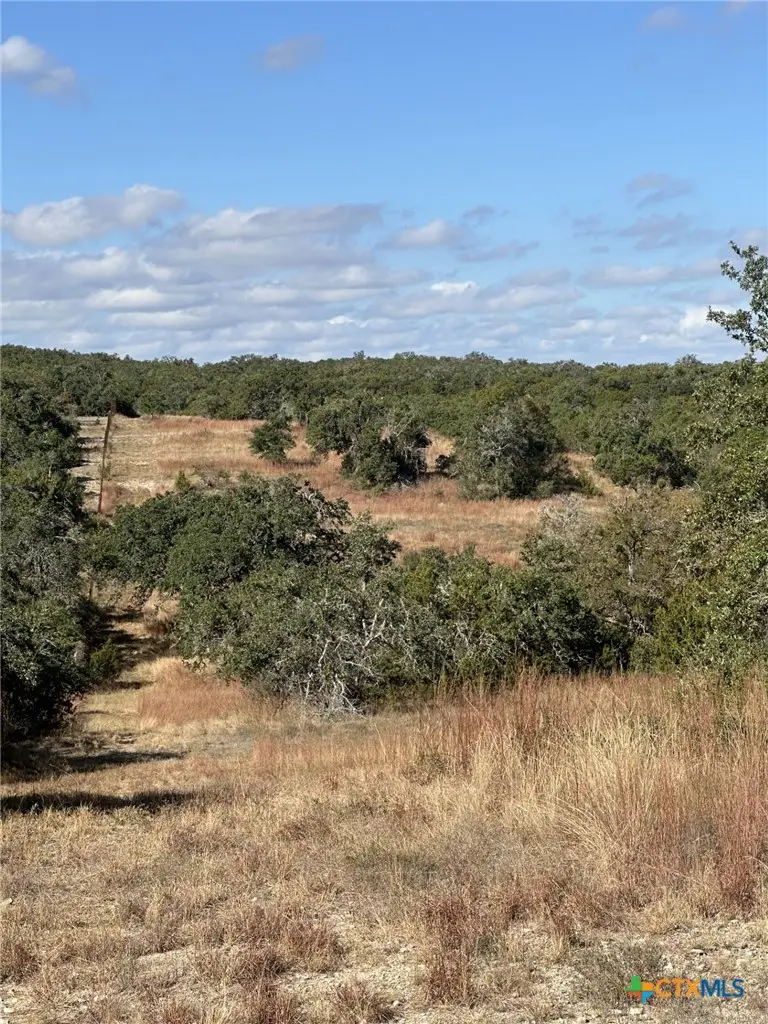 525 Outlook Drive, Wimberley, TX 78676 - #3