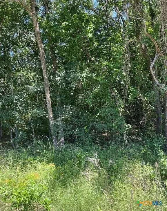 TBD Cr 3130, Other, TX 76679