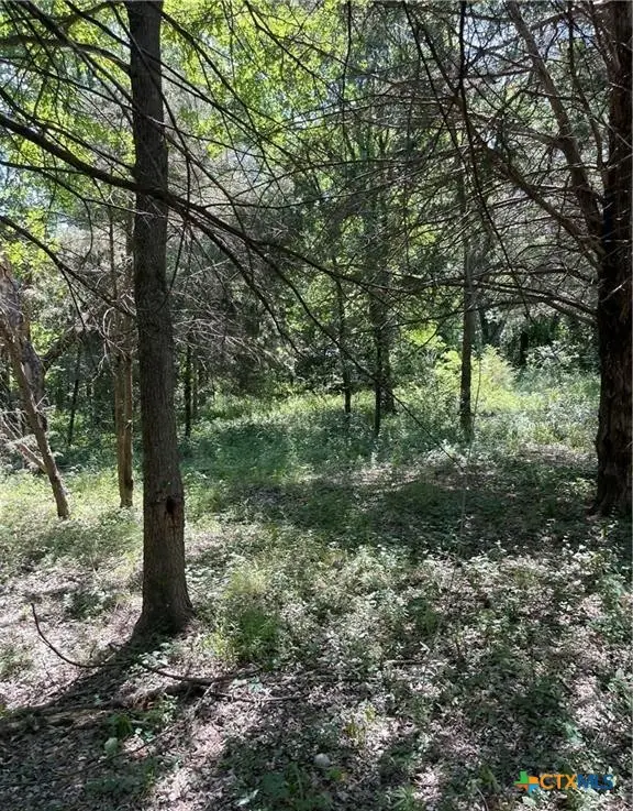 TBD Cr 3130, Purdon, TX 76679 - Image #3