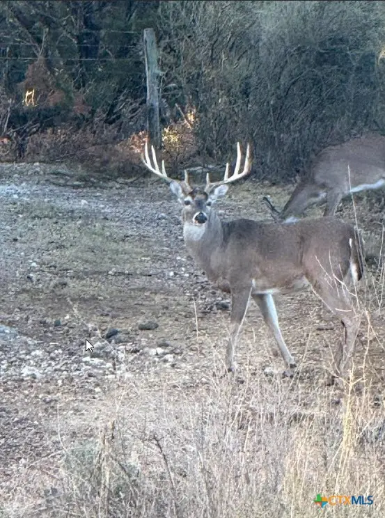 1218 Private Road 1377, Lampasas, TX 76550