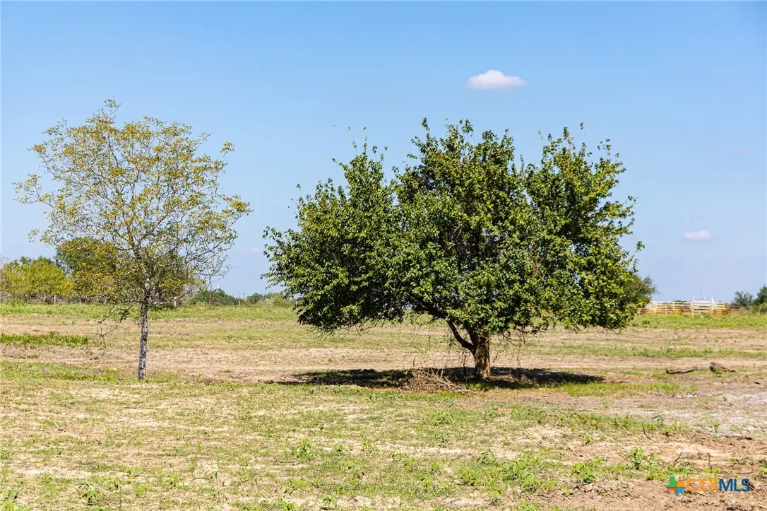 234 Cr 430 #Tract 6, Hallettsville, TX 77964 - Image #1