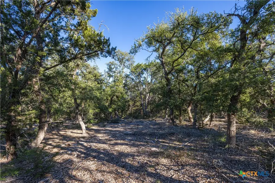 130 Panorama Drive, Wimberley, TX 78676 - Image #2