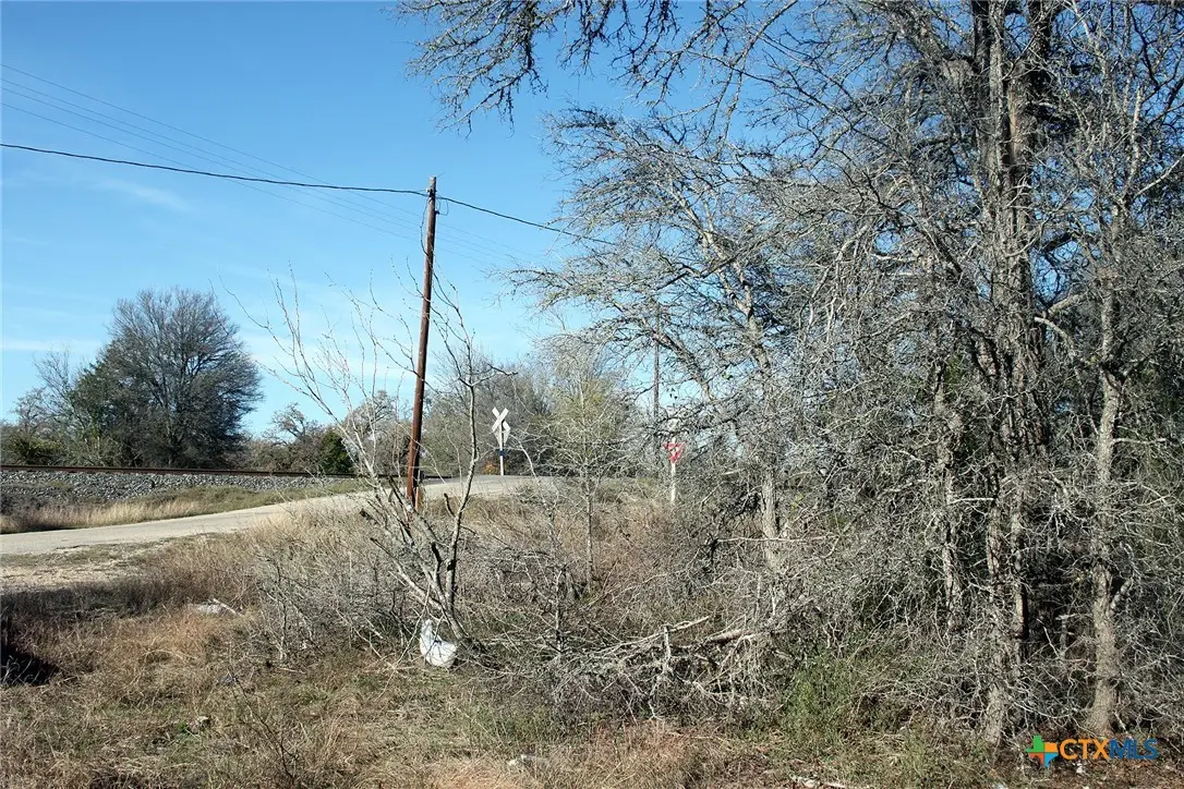 100 Track Road, Dale, TX 78616 - #1