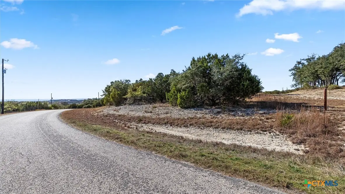 331 Ridge Point, Spring Branch, TX 78070 - #1