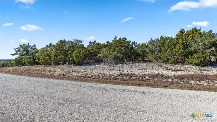 331 Ridge Point, Spring Branch, TX 78070 - #2