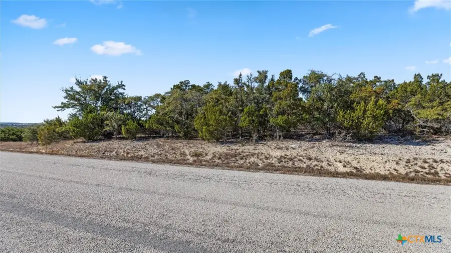 331 Ridge Point, Spring Branch, TX 78070 - #3
