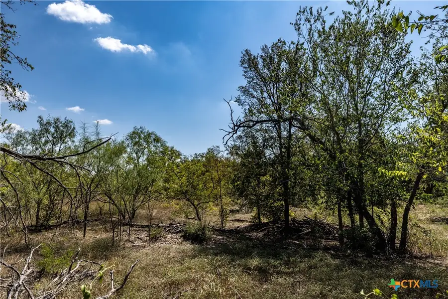TBD Lot 3 Track Road, Dale, TX 78616 - #2