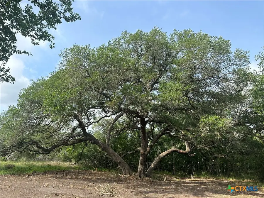 1776 Fm 1351, Goliad, TX 77963 - Image #2