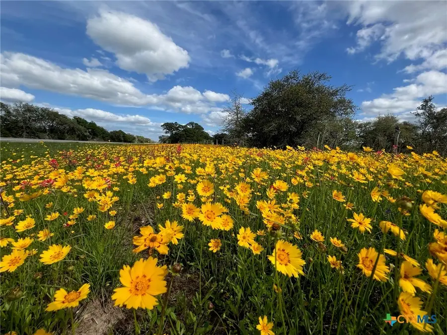 15395 E State Hwy 111, Yoakum, TX 77995 - Image #3