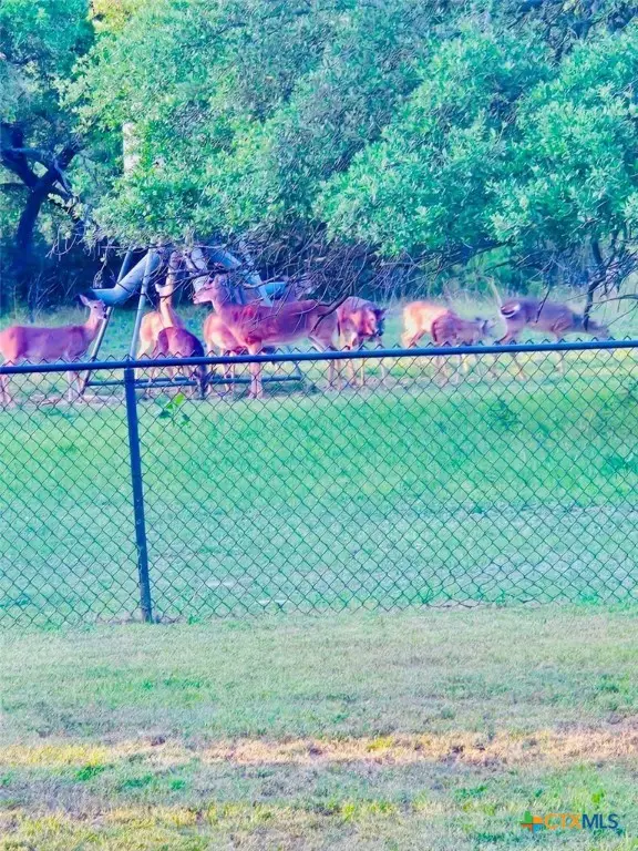 400 Indian Hills Road, Gatesville, TX 76528 - Image #3