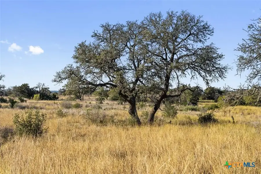Lot 91 Axis Circle, Fredericksburg, TX 78624 - Image #2