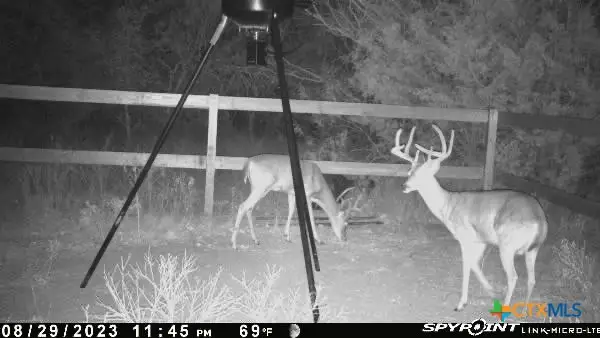 637 Cr 281, Harwood, TX 78632 - Image #2