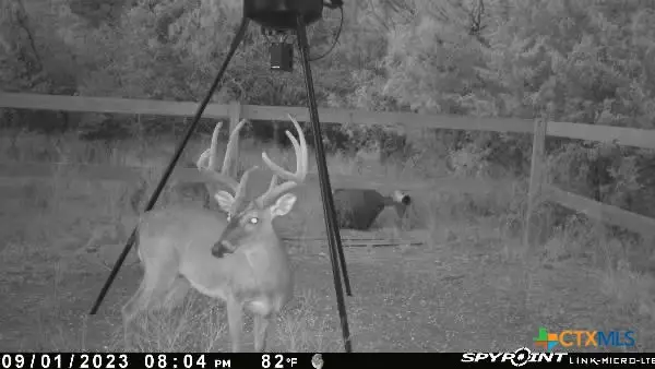 637 Cr 281, Harwood, TX 78632 - Image #3