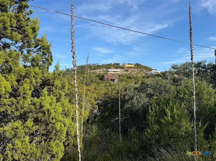 833 Valley Ridge, Canyon Lake, TX 78133 - Image #2