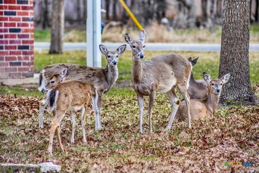 3 N Walnut, Morgans Point Resort, TX 76513 - #2