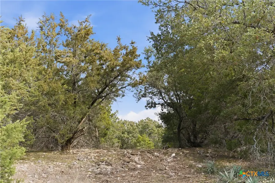 tbd Fm-2843, Salado, TX 76571 - Image #3