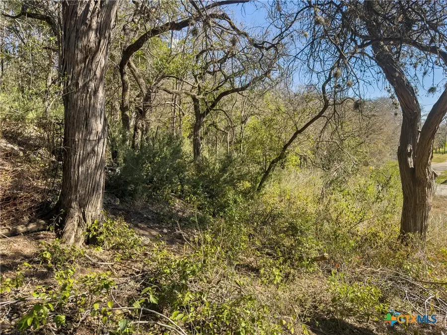 595 Dittlinger Street, New Braunfels, TX 78130 - Image #2