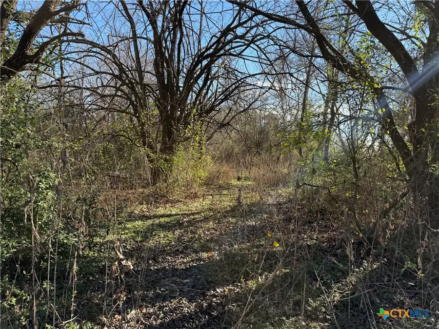 tbd County Road 925 Road, Mexia, TX 76667 - Image #2