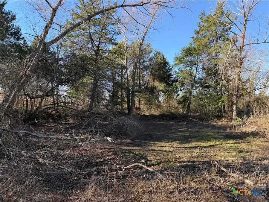 tbd County Road 925 Road, Mexia, TX 76667 - Image #3