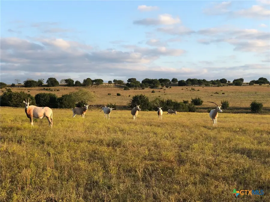 Tract 1 County Road 208, Lampasas, TX 76550 - Image #2