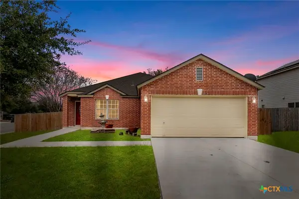 620 Waterleaf Boulevard, Kyle, TX 78640